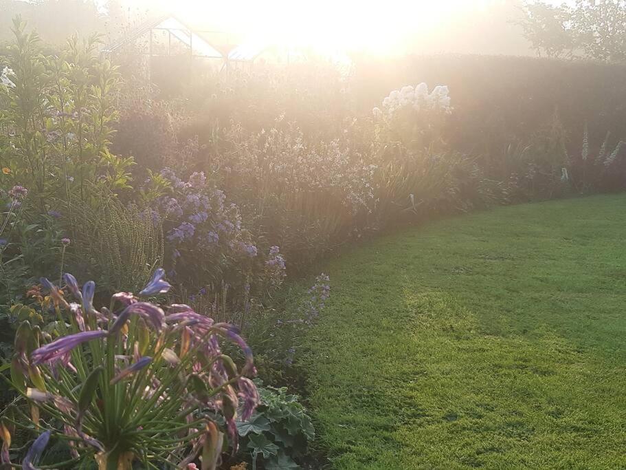 Doris * Wedmore